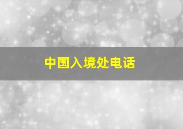 中国入境处电话