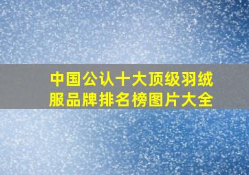 中国公认十大顶级羽绒服品牌排名榜图片大全