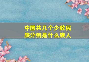 中国共几个少数民族分别是什么族人