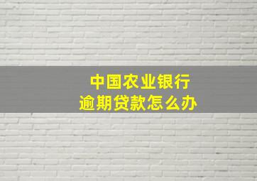 中国农业银行逾期贷款怎么办