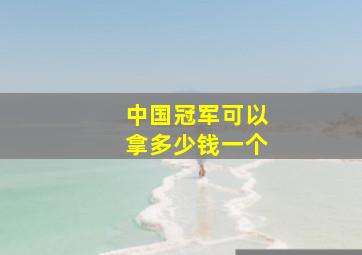 中国冠军可以拿多少钱一个