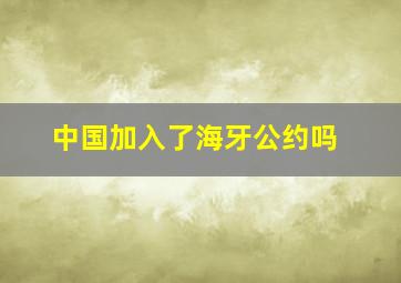 中国加入了海牙公约吗