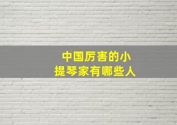 中国厉害的小提琴家有哪些人