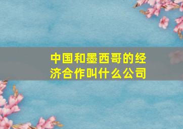 中国和墨西哥的经济合作叫什么公司