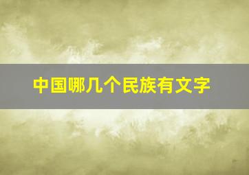 中国哪几个民族有文字