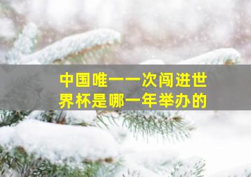 中国唯一一次闯进世界杯是哪一年举办的