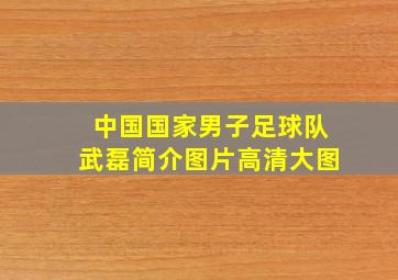 中国国家男子足球队武磊简介图片高清大图