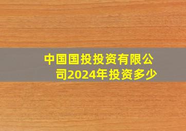 中国国投投资有限公司2024年投资多少