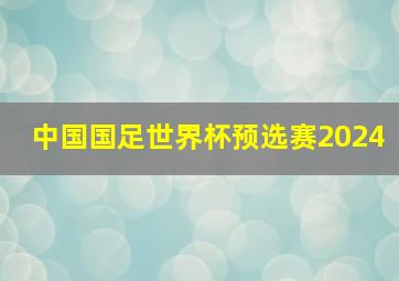 中国国足世界杯预选赛2024