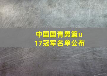 中国国青男篮u17冠军名单公布