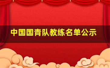 中国国青队教练名单公示