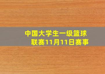 中国大学生一级篮球联赛11月11日赛事