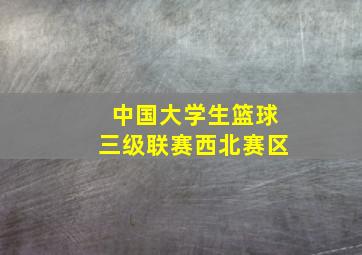 中国大学生篮球三级联赛西北赛区