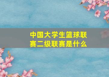 中国大学生篮球联赛二级联赛是什么