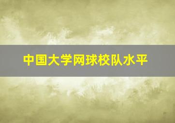 中国大学网球校队水平