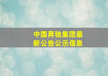 中国奔驰集团最新公告公示信息