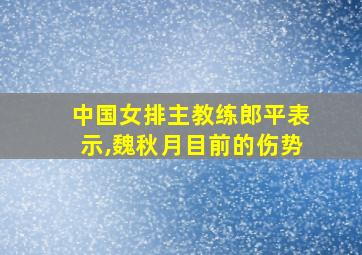 中国女排主教练郎平表示,魏秋月目前的伤势