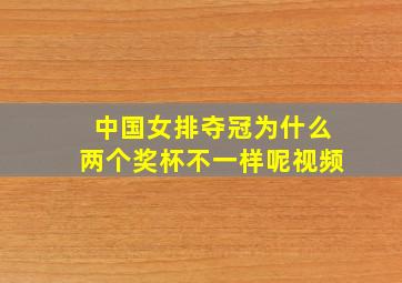 中国女排夺冠为什么两个奖杯不一样呢视频