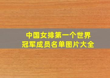 中国女排第一个世界冠军成员名单图片大全