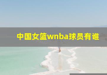 中国女篮wnba球员有谁