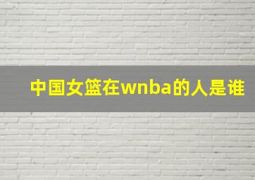 中国女篮在wnba的人是谁