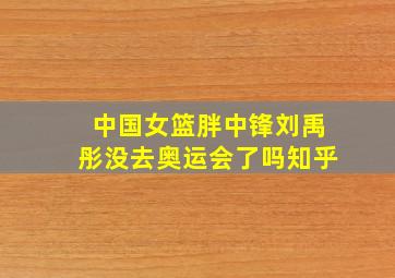 中国女篮胖中锋刘禹彤没去奥运会了吗知乎