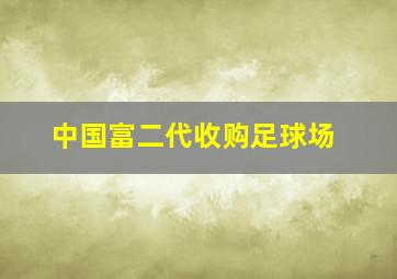 中国富二代收购足球场