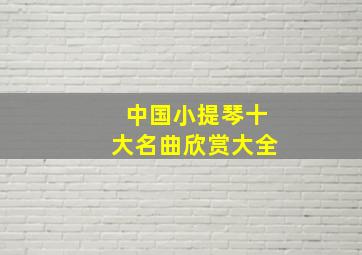 中国小提琴十大名曲欣赏大全