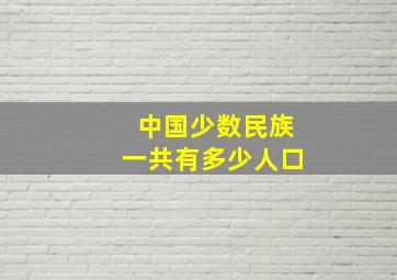 中国少数民族一共有多少人口