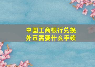 中国工商银行兑换外币需要什么手续