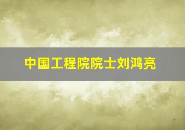 中国工程院院士刘鸿亮