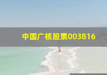 中国广核股票003816