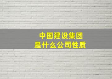 中国建设集团是什么公司性质