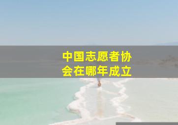 中国志愿者协会在哪年成立