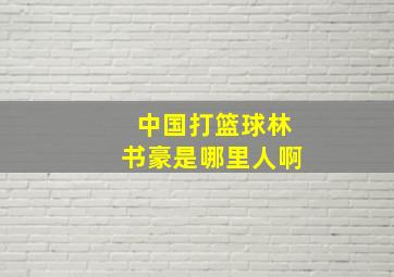 中国打篮球林书豪是哪里人啊