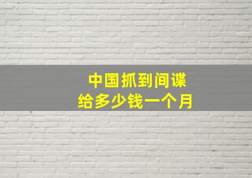 中国抓到间谍给多少钱一个月