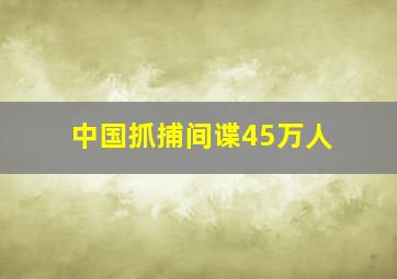 中国抓捕间谍45万人