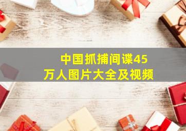 中国抓捕间谍45万人图片大全及视频