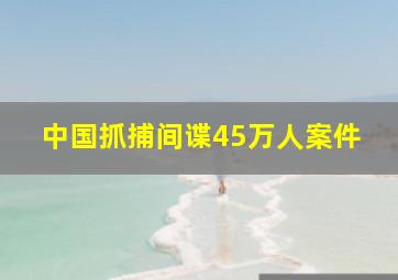 中国抓捕间谍45万人案件