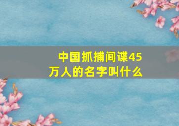 中国抓捕间谍45万人的名字叫什么