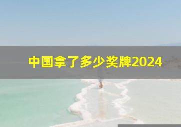 中国拿了多少奖牌2024