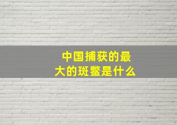 中国捕获的最大的斑鳖是什么