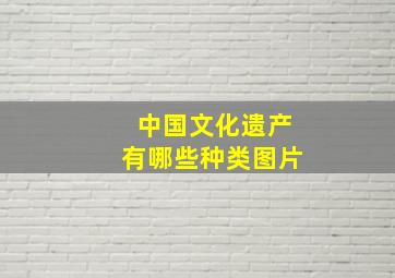 中国文化遗产有哪些种类图片