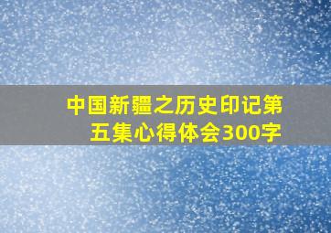 中国新疆之历史印记第五集心得体会300字