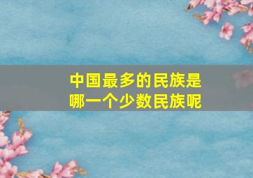 中国最多的民族是哪一个少数民族呢