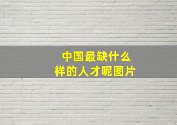 中国最缺什么样的人才呢图片