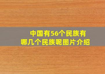 中国有56个民族有哪几个民族呢图片介绍