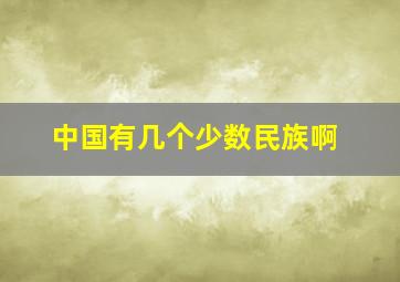 中国有几个少数民族啊