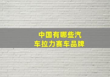 中国有哪些汽车拉力赛车品牌