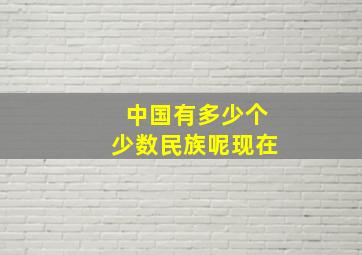 中国有多少个少数民族呢现在